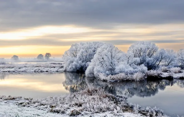 Зима, иней, снег, деревья, река, Германия