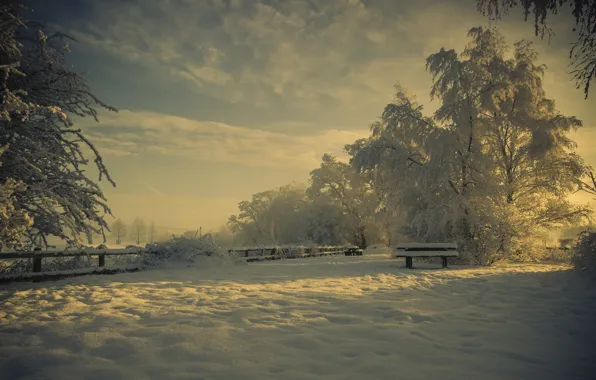 Картинка зима, снег, природа, парк, лавка