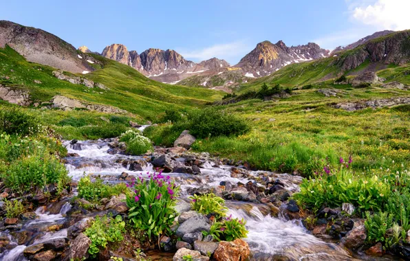 Картинка трава, цветы, горы, ручей, камни, долина, США, Colorado