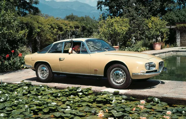 Девушка, парк, Alfa Romeo, водяные лилии, Alfa Romeo 2600 SZ, 1965-67