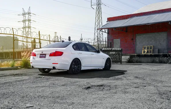 Картинка BMW, 535i, rearside, F10. white, XO Wheels