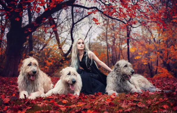 Лес, собаки, девушка, природа, поза, стиль, макияж, костюм