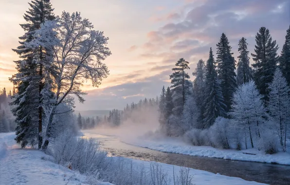 Зима, иней, небо, облака, снег, деревья, ветки, природа