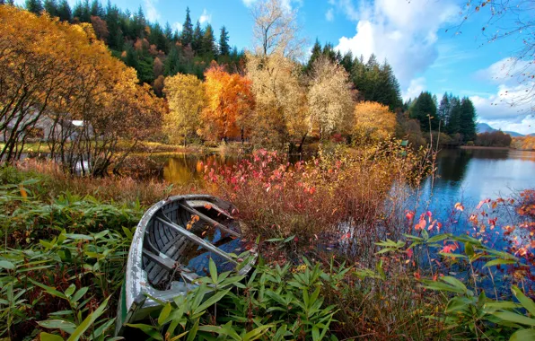 Картинка осень, лес, небо, деревья, цветы, озеро, река, лодка