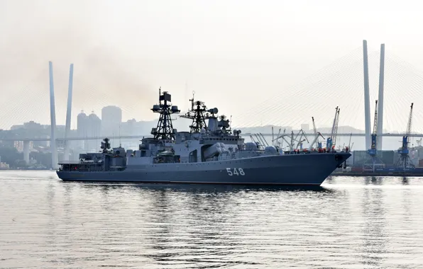 Корабль, большой, противолодочный, проект 1155, адмирал пантелеев