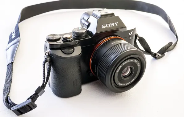 Картинка макро, фон, камера, Sony A7 &ampamp; Sigma 30mm