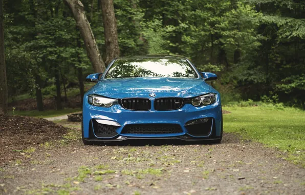 BMW, Blue, Forest, F83