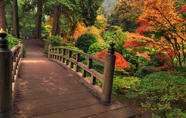 Картинка осень, листья, деревья, цветы, мост, природа, парк, colors