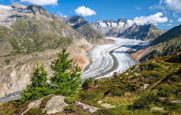 Горы, природа, Swiss Alps