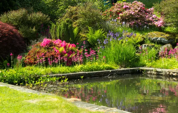 Картинка зелень, цветы, пруд, сад, Великобритания, разноцветные, кусты, Mount Pleasant gardens