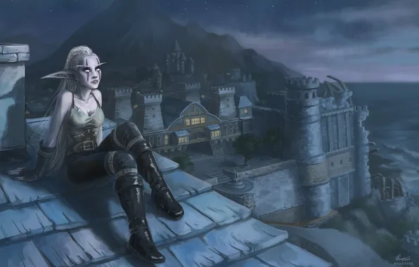 Картинка крыша, девушка, ночь, город, арт, World of Warcraft, эльфийка, Angevere