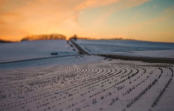 Картинка дорога, поле, небо, снег, закат, вечер