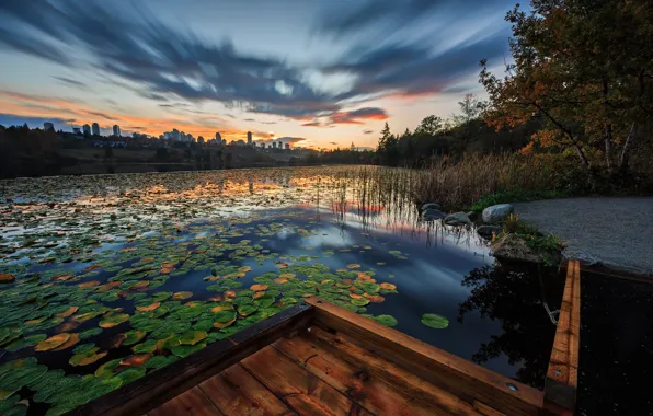 Листья, город, озеро, пруд, берег, доски, мостки, водоем