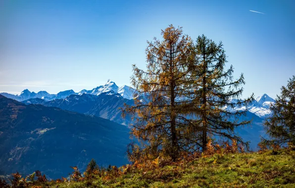 Картинка осень, деревья, горы, Австрия