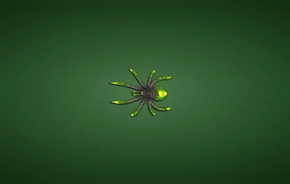 Зеленый, минимализм, паук, spider