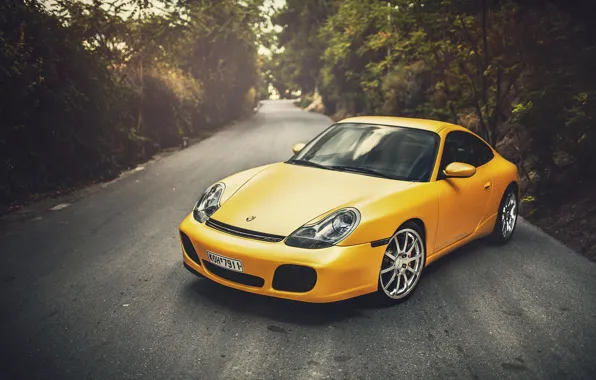Картинка Porsche, Порше, Carrera, Yellow, 996, Wildness