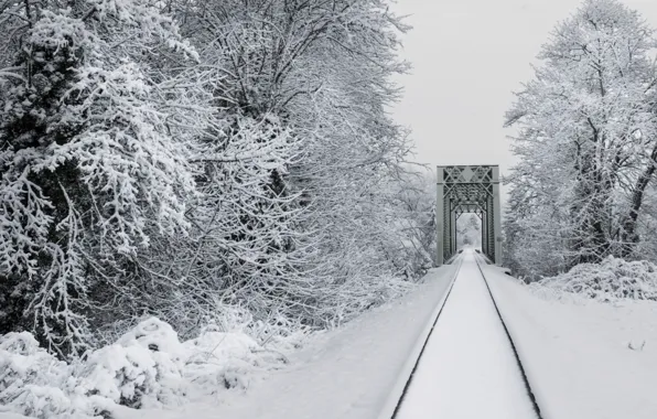 Зима, снег, деревья, природа, рельсы, железная дорога