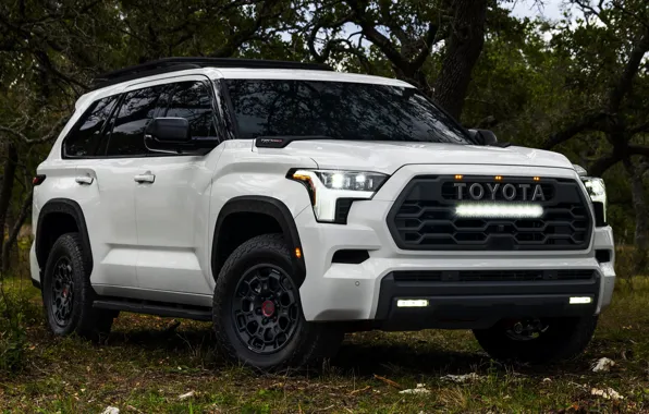 Картинка Toyota, Sequoia, TRD Pro, 2023