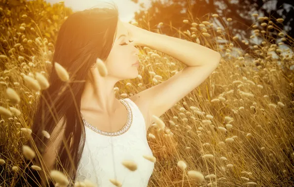 Лето, девушка, свет