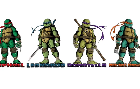 Оружие, Черепашки-ниндзя, персонажи, Teenage Mutant Ninja Turtles, стойки