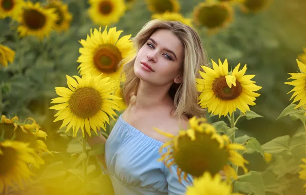 Картинка dress, nature, model, women, blonde, sunflowers, blue dress, women outdoors