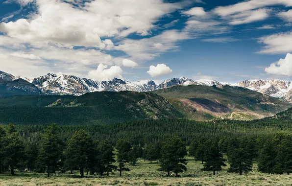 Картинка небо, облака, деревья, горы, Колорадо, сосны, Скалистые горы, Соединенные Штаты