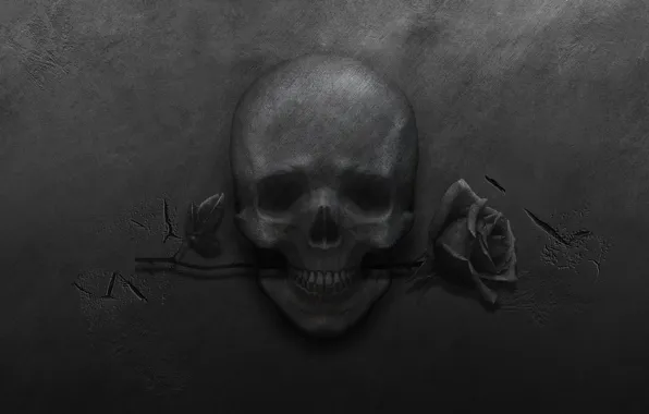 Металл, трещины, роза, череп, черный фон