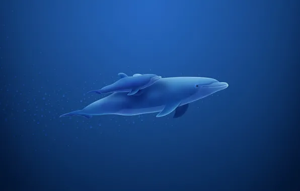 Синий, дельфин, пузыри