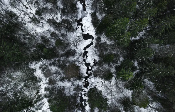 Картинка зима, лес, снег, деревья, пейзаж, природа, река, вид сверху