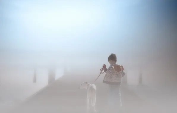 Картинка туман, собака, мальчик