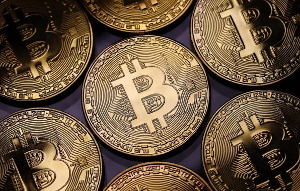 Money, coin, bitcoin