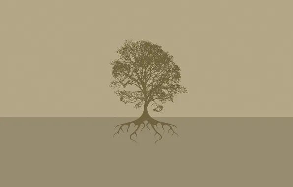 Картинка корни, фон, дерево, земля