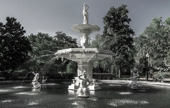 USA, water, park, tree, Georgia, fountain, Savannah, forsyth
