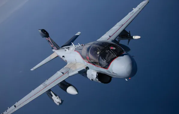 Штурмовик, Бродяга, Grumman EA-6 Prowler