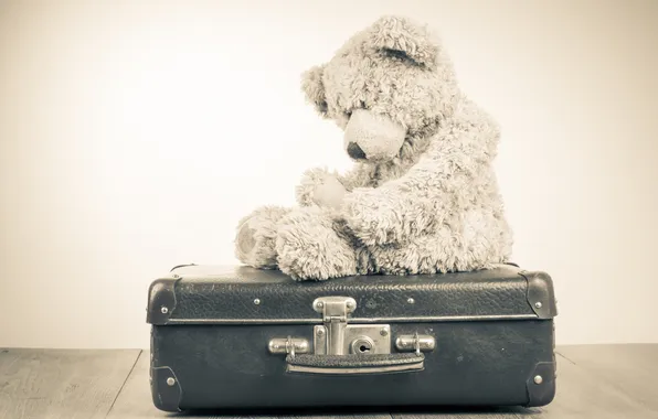 Грусть, одиночество, игрушка, медведь, мишка, чемодан, toy, bear