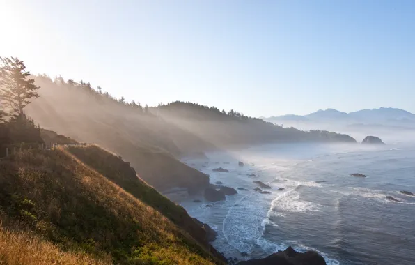 Картинка утро, горы, берег, побережье, лучь, вид Oregon, дерево, море