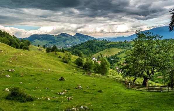 Картинка зелень, трава, облака, деревья, горы, поля, луга, Румыния