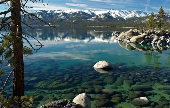 Вода, природа, камни, дерево