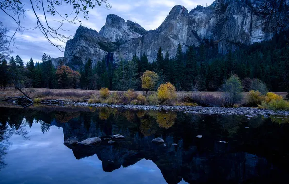 Картинка осень, лес, деревья, горы, река, вечер, Калифорния, США