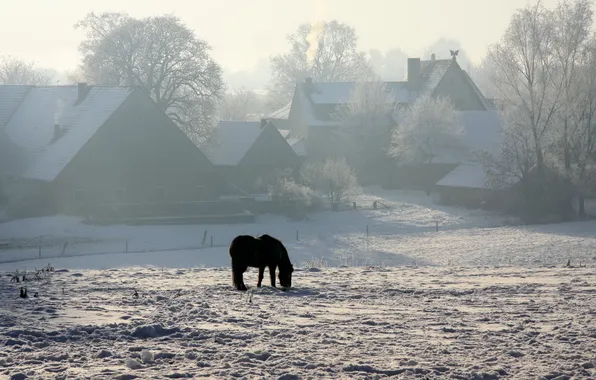 Картинка зима, снег, конь, дома