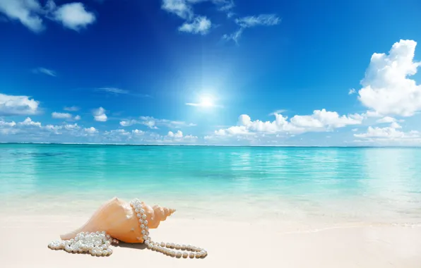 Картинка sunshine, beach, sea, sand, seashell