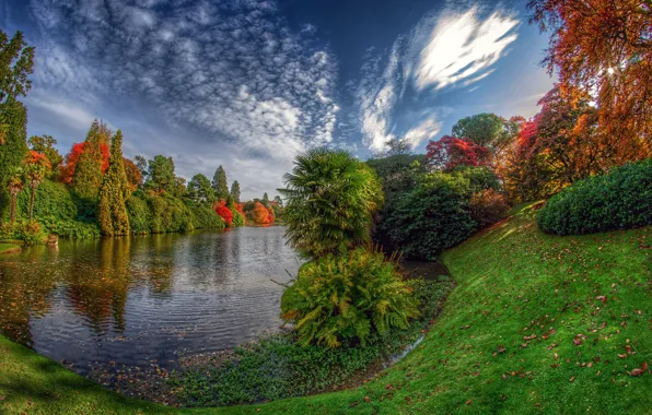Картинка осень, озеро, США, Sheffield Lake