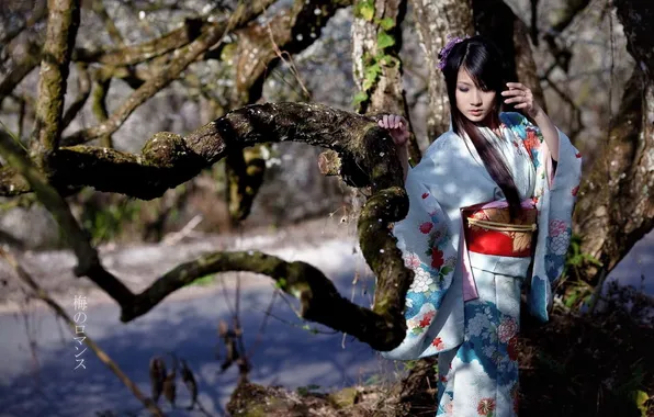 Картинка девушка, дерево, Япония, кимоно