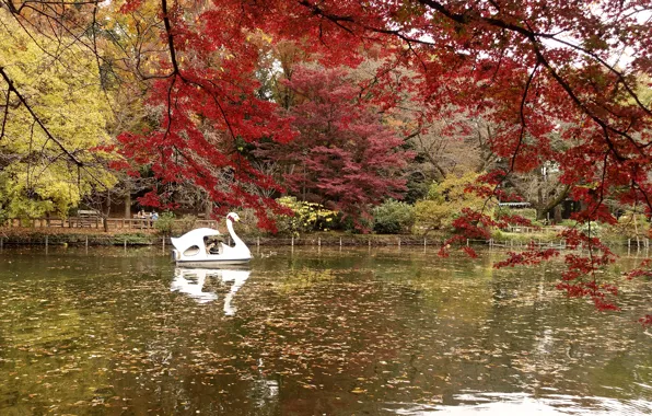 Природа, Осень, Озеро, Япония, Токио, Парк, Japan, Nature