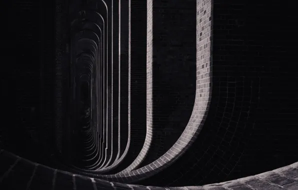 Light, Shadow, Curves