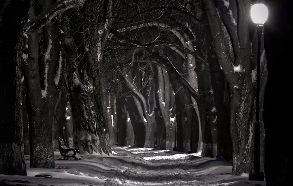 Картинка снег, ночь, лавочка, фонарь, набережная, черно белая