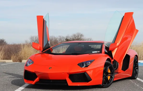 Car, city, red, lamborghini