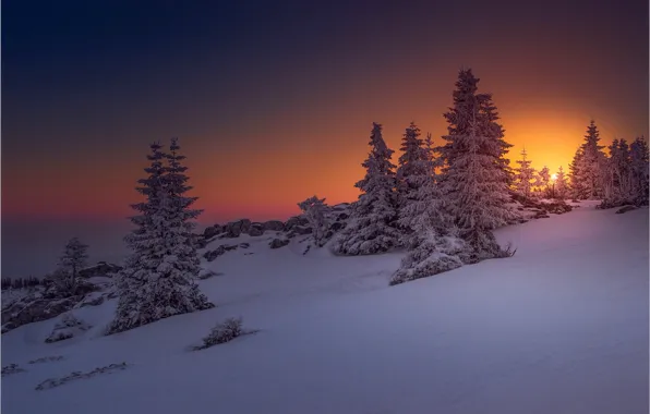 Картинка зима, небо, снег, деревья, закат, природа, Австрия, Friedrich Beren