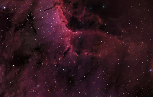 Картинка космос, Туманность Пеликан, созвездие, мироздание, IC5067