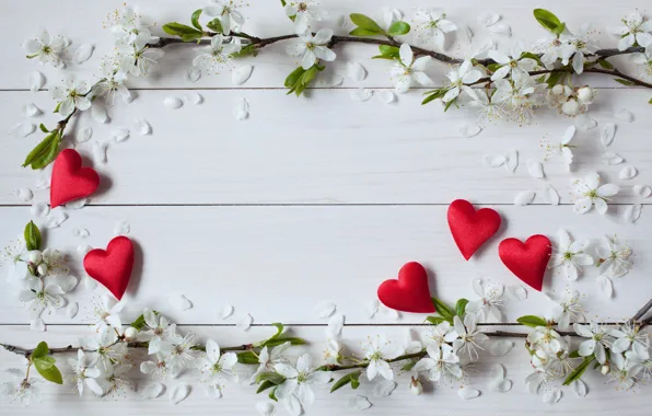 Цветы, праздник, сердечки, день святого Валентина